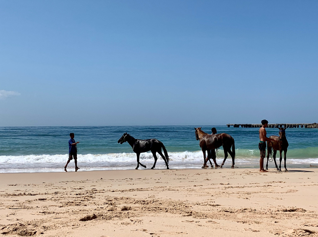 Rua Beach Resort主图