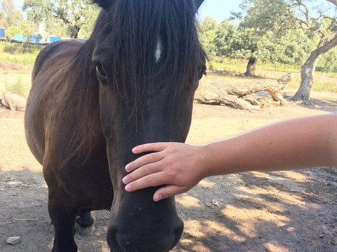 La Ferme De Padula-维琪奥港必去景点