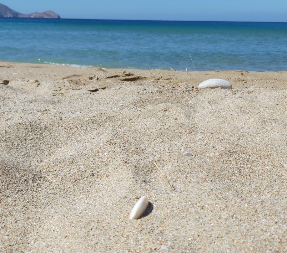 Delphini Beach-Kini必去景点