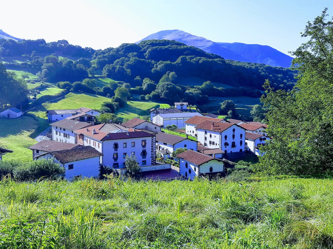 Hotel Palacio Borda主图