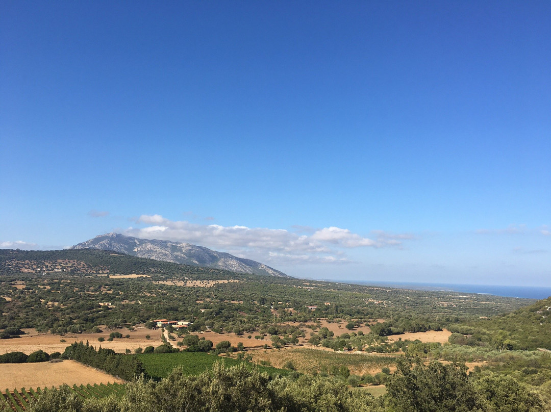 Dorgali餐馆和美食-Restaurant de l'Hotel Ispinigoli