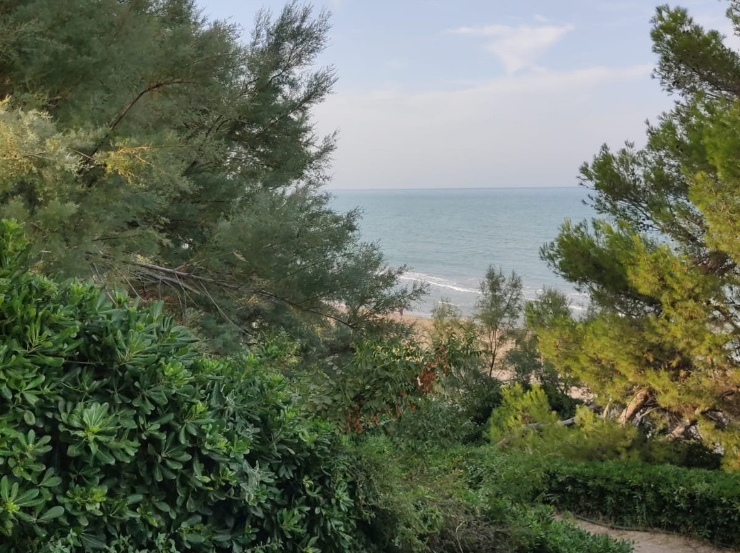 Torre del Cerrano-Torre di Cerrano必去景点