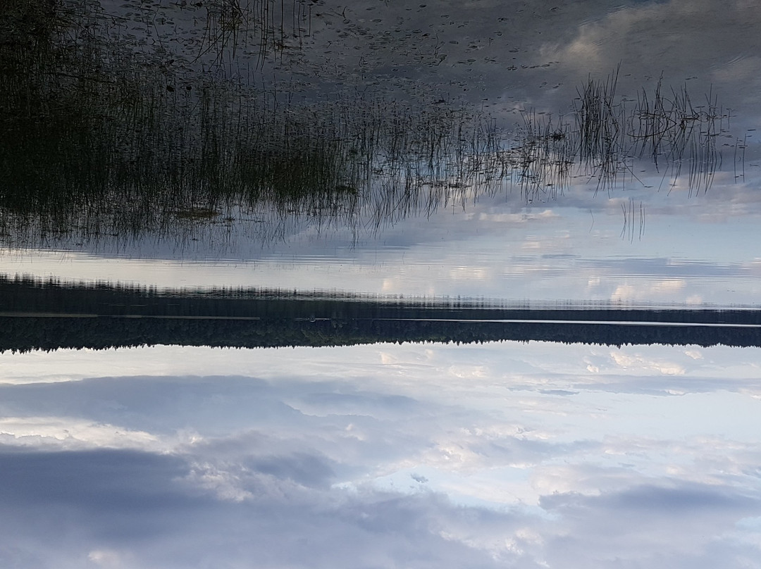 Shatsky National Natural Park景点图片