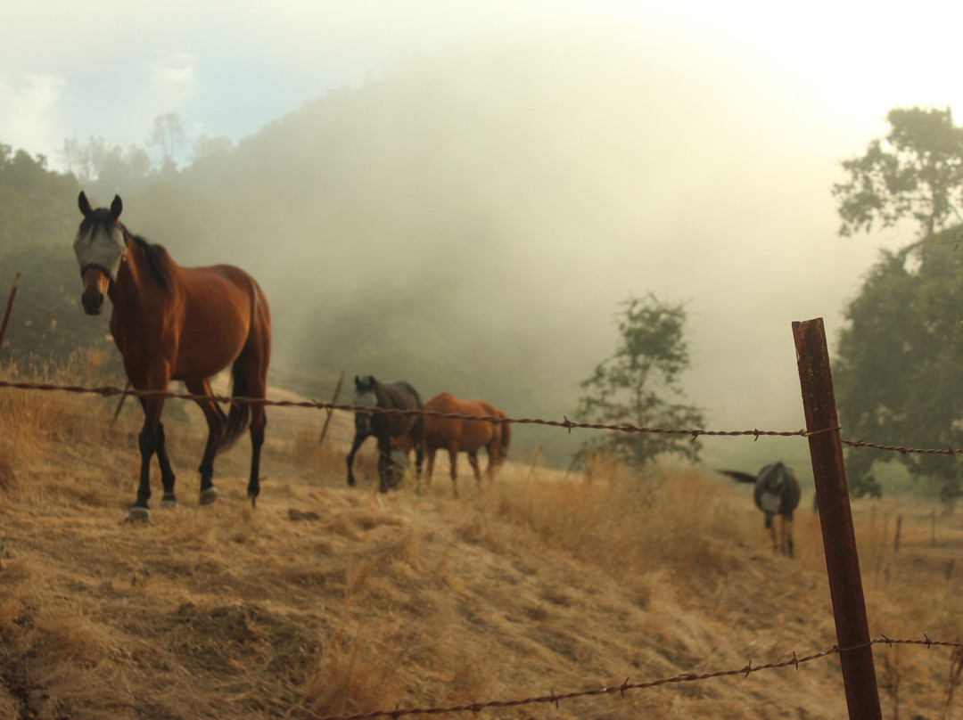 RustRidge B&B / Winery主图