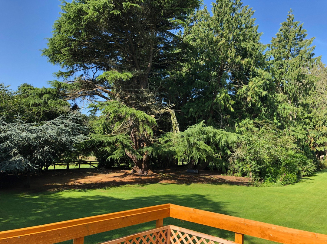 Old Drynie House主图