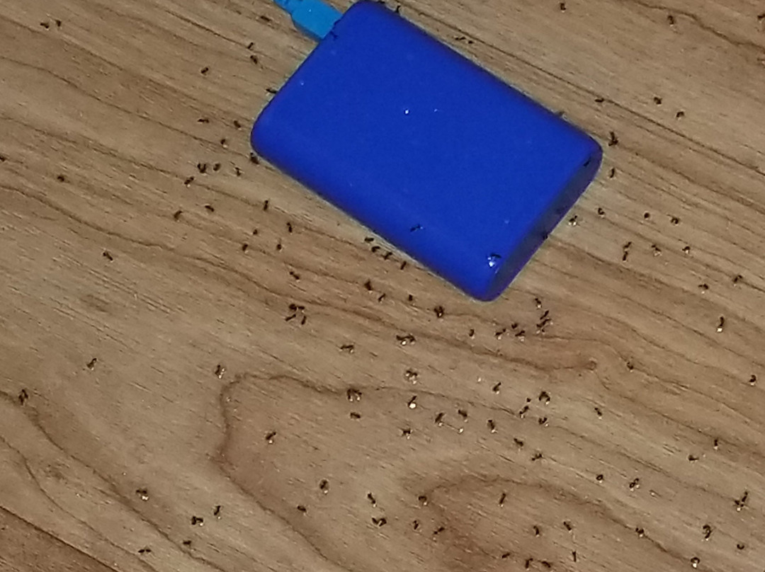 HomeTowne Studios by Red Roof Tacoma - Puyallup