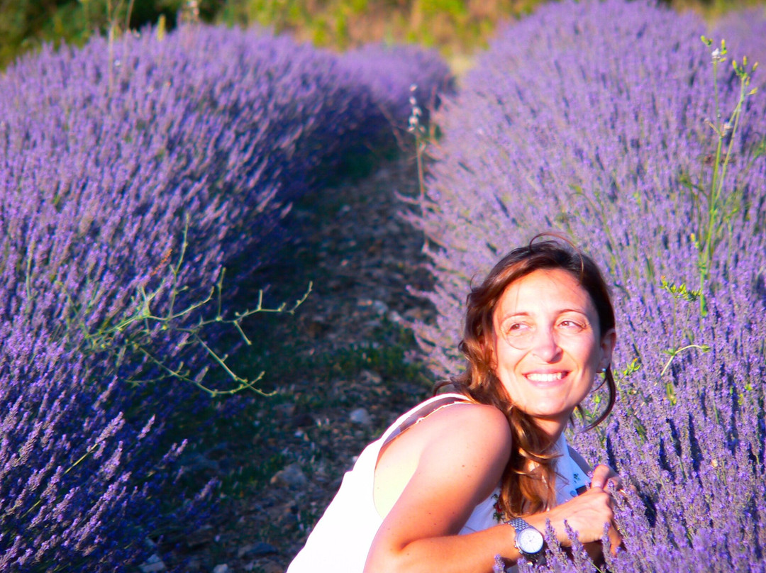 Lavanda di Maremma景点图片