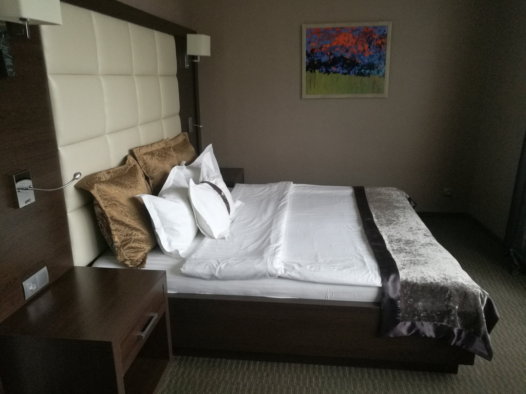 Spa Hotel Aria主图