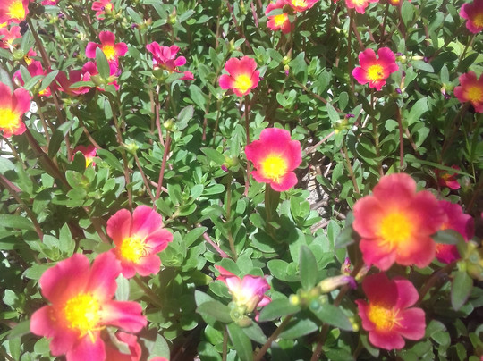 Pousada PraiAmar主图