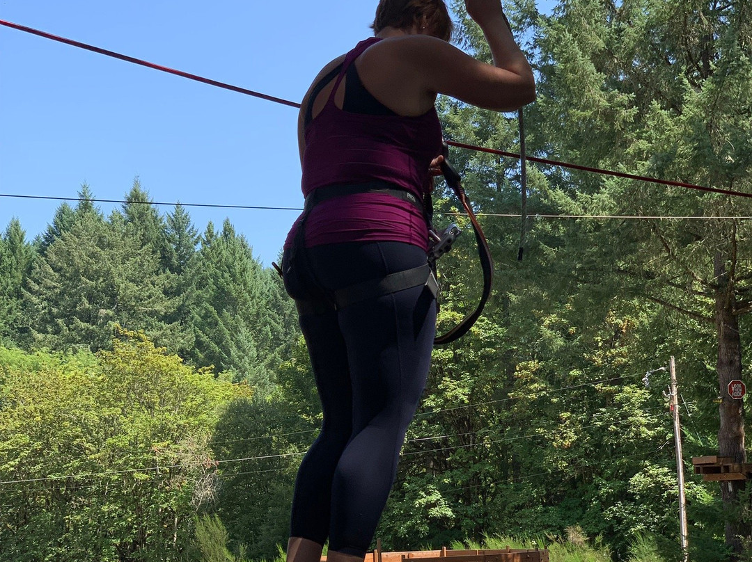 Tree to Tree Adventure Park-Gaston必去景点