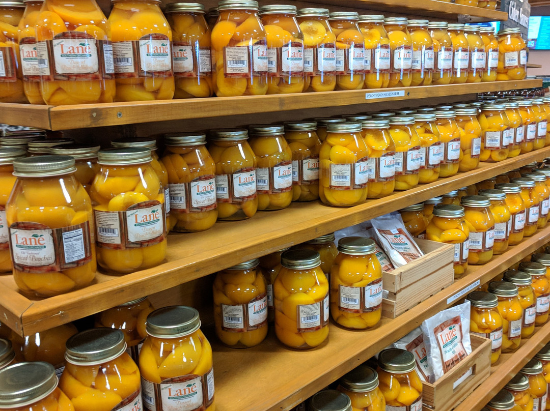 Lane Southern Orchards-Fort Valley必去景点