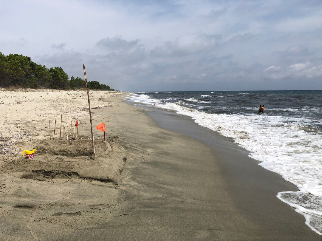 Plage de Pinia景点图片