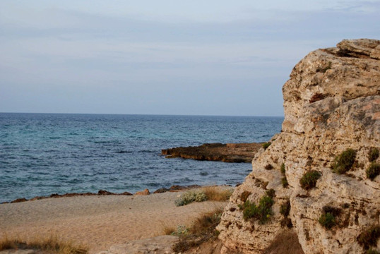 斯蒂尔盆景酒店主图