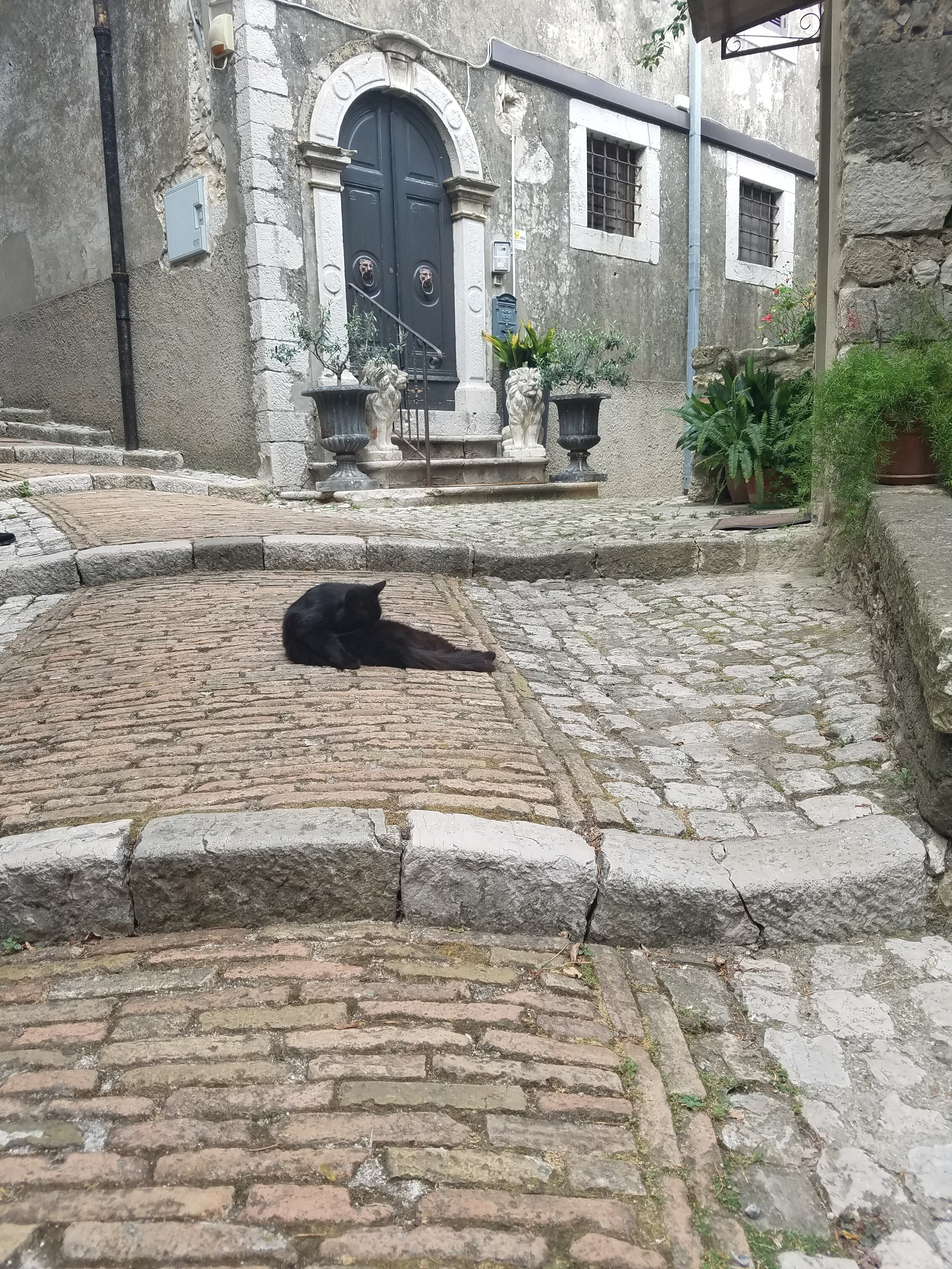 Casa Gregorio-浴室