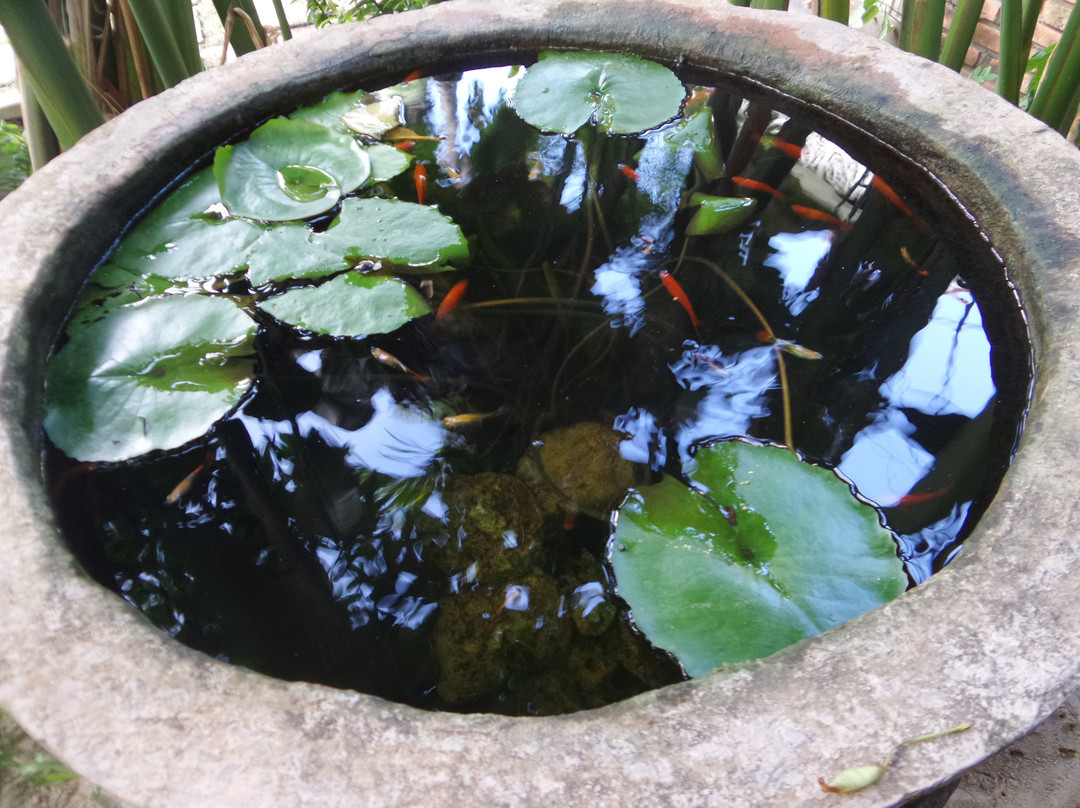 Local Beach Homestay主图