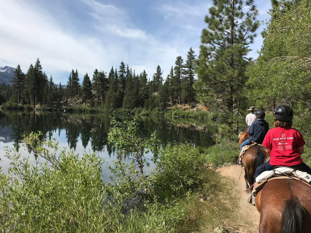 Leavitt Meadows Pack Station景点图片