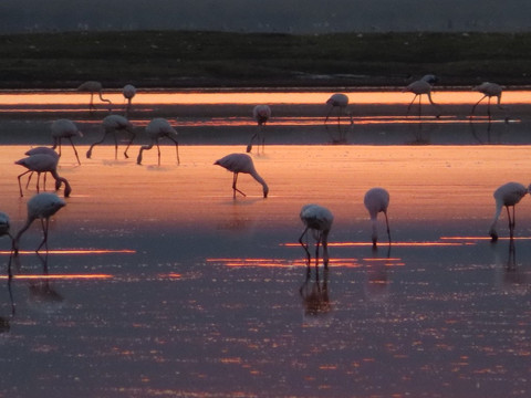 Rift Valley Photographic Lodge主图