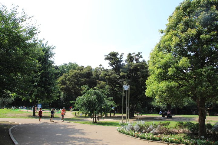Shirokanedai Donguri Children's Park-Shirokanedai必去景点