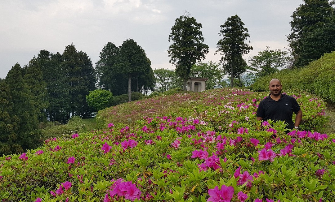 Mt.Tomisu Park-大洲市必去景点