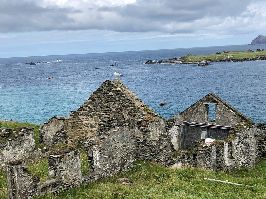 Blasket Islands Eco Marine Tours景点图片