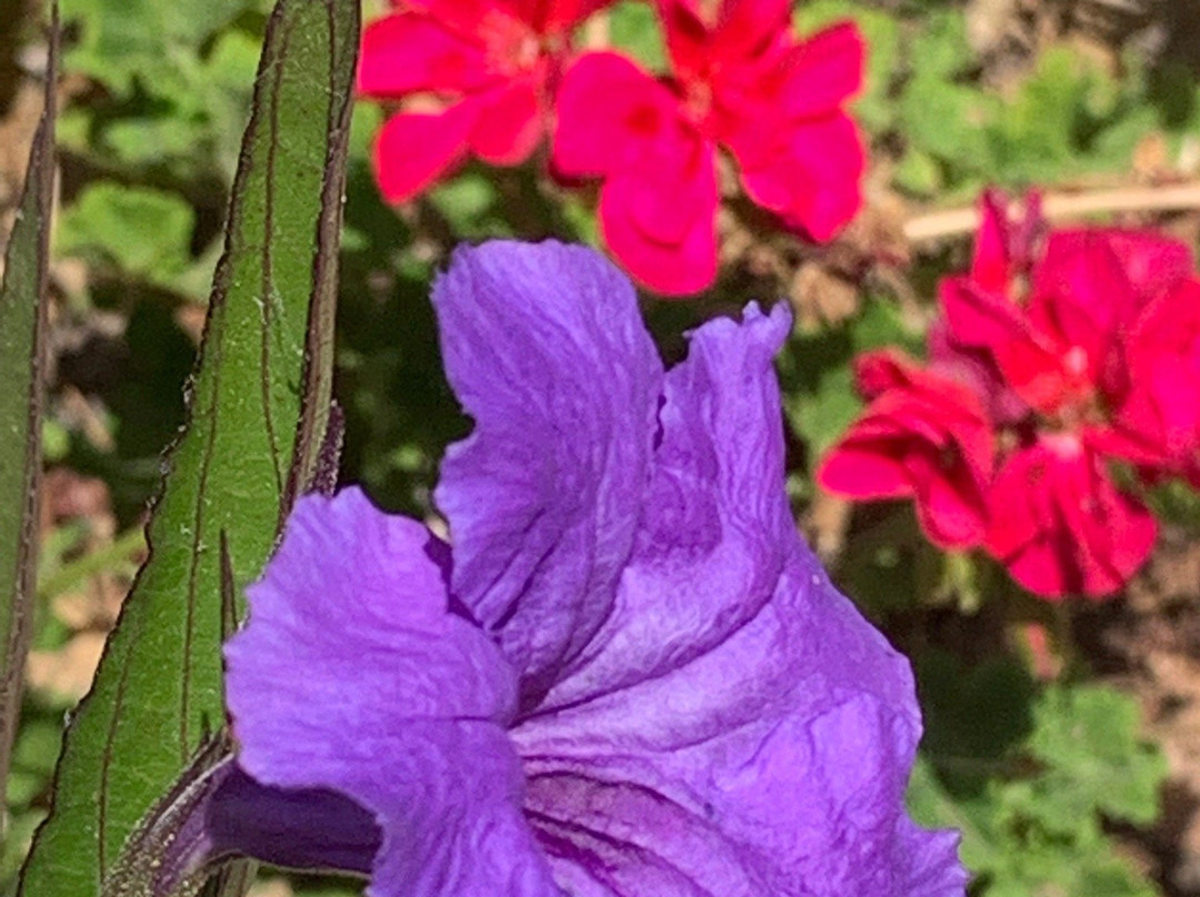 Mission San Luis Rey Retreat主图