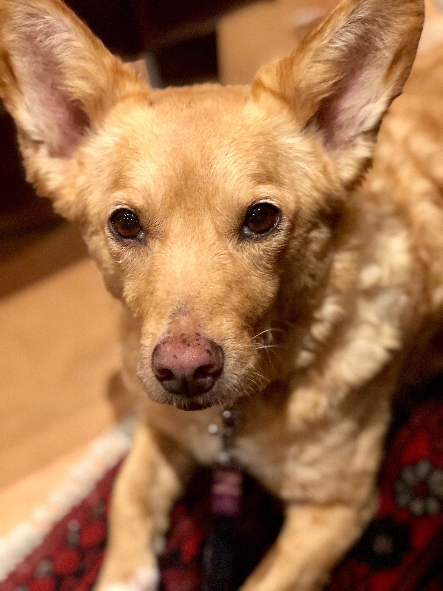 Hotel Johanna mitten im Ötztal-官方