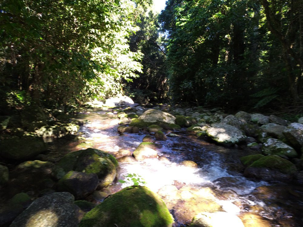 Misty Mountains Tropical Rainforest Retreat主图