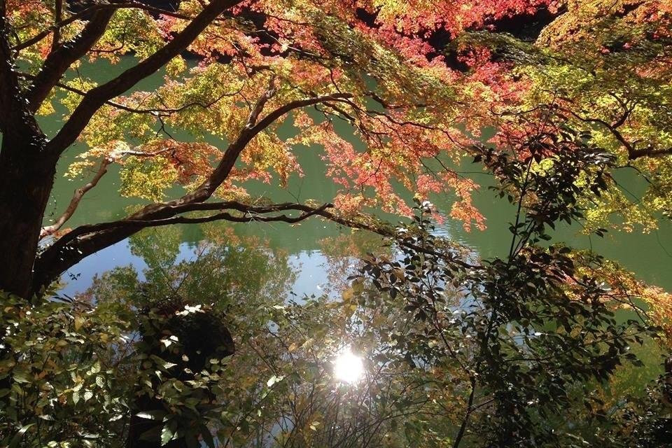 Jeremy Owen-毛吕山町必去景点