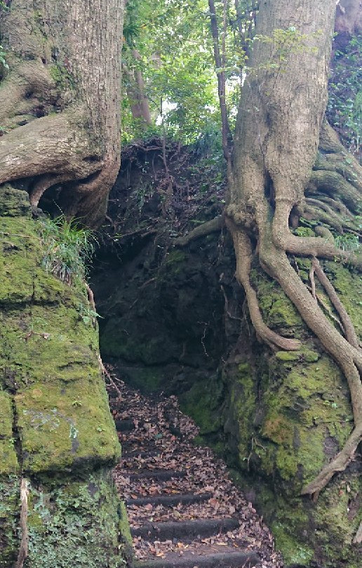 Senzu no Kiridoshi-大岛町必去景点