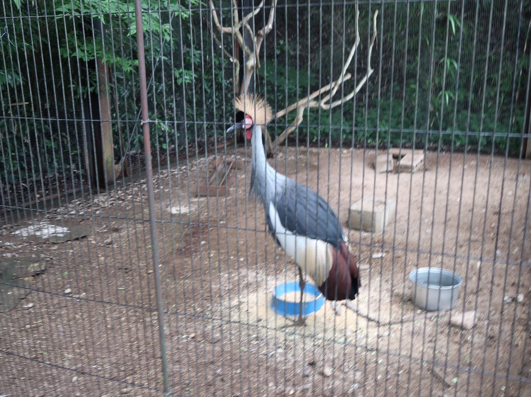 Asunaro no Sato-常总市必去景点