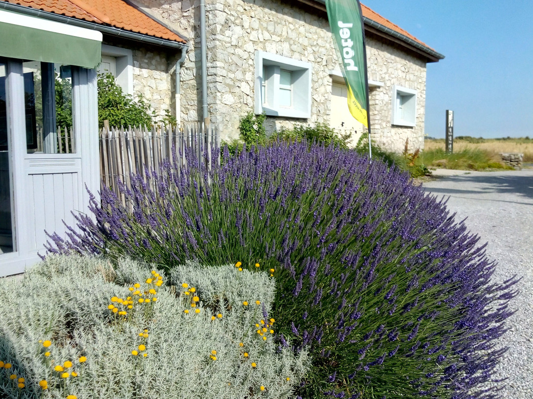 Audresselles酒店住宿-L'Entre-Mers