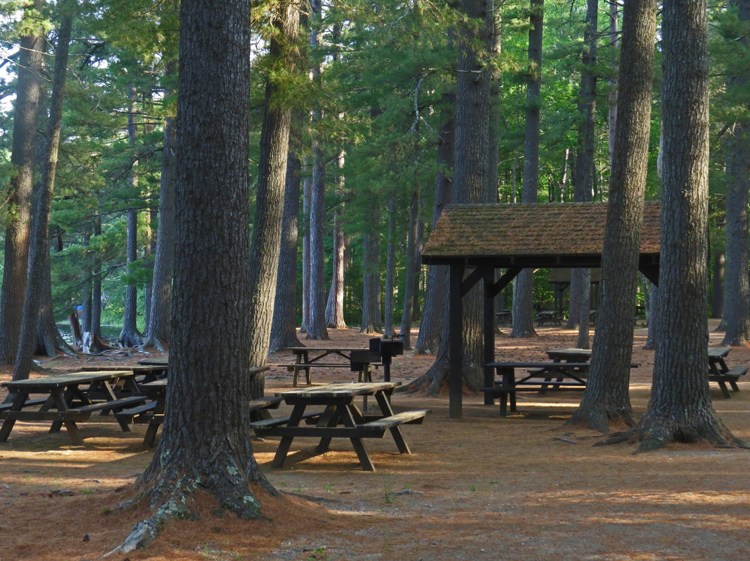 Sebago Lake State Park景点图片