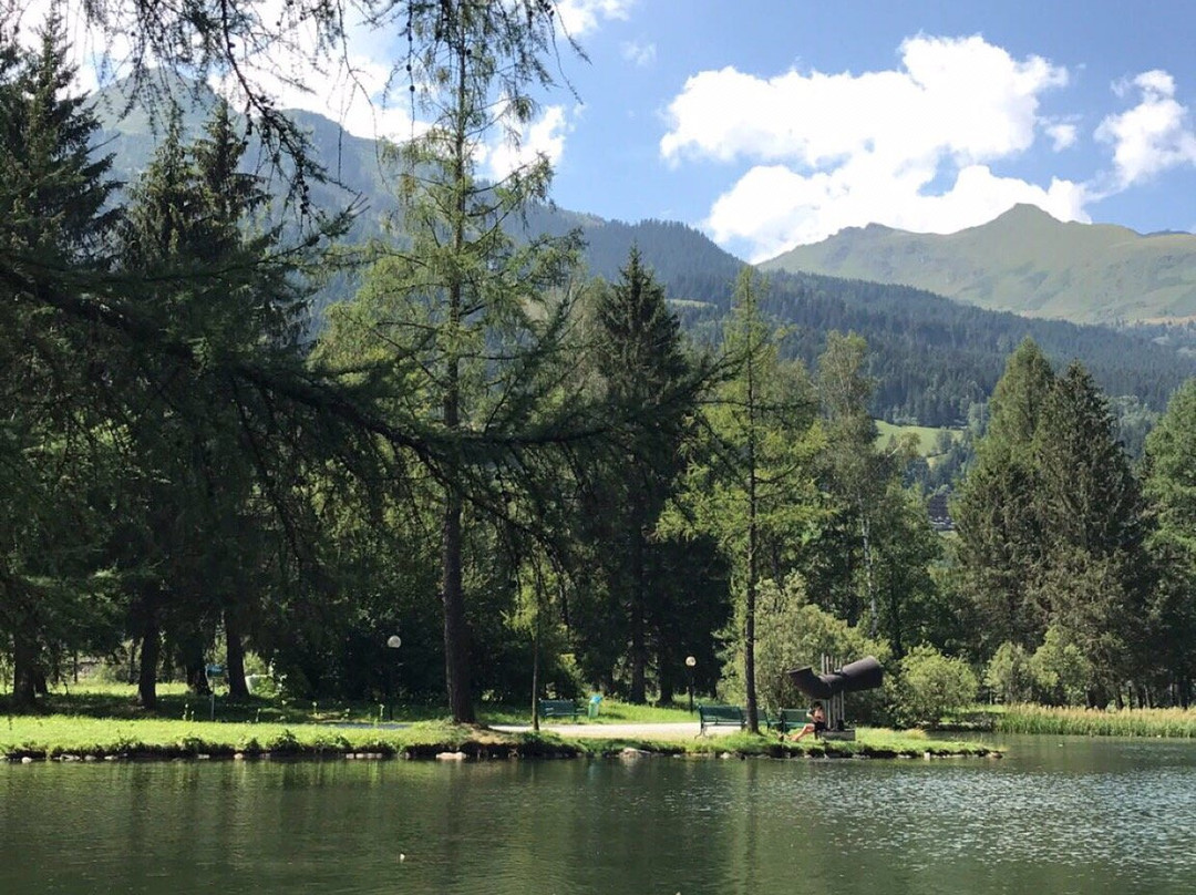 Alpen Kurpark Bad Hofgastein-泉霍夫卡斯汀必去景点