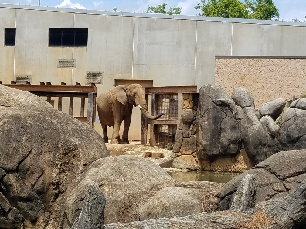 Zoo Knoxville景点图片