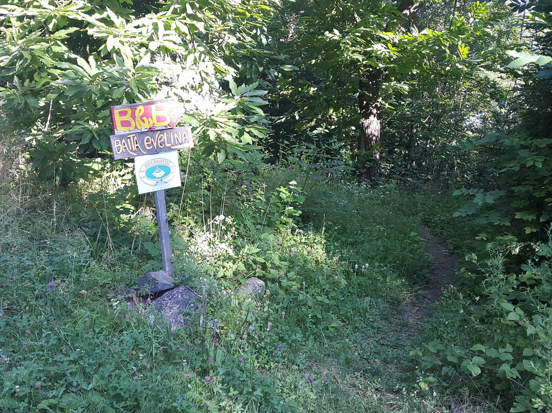 Baita Evelina bed & breakfast主图