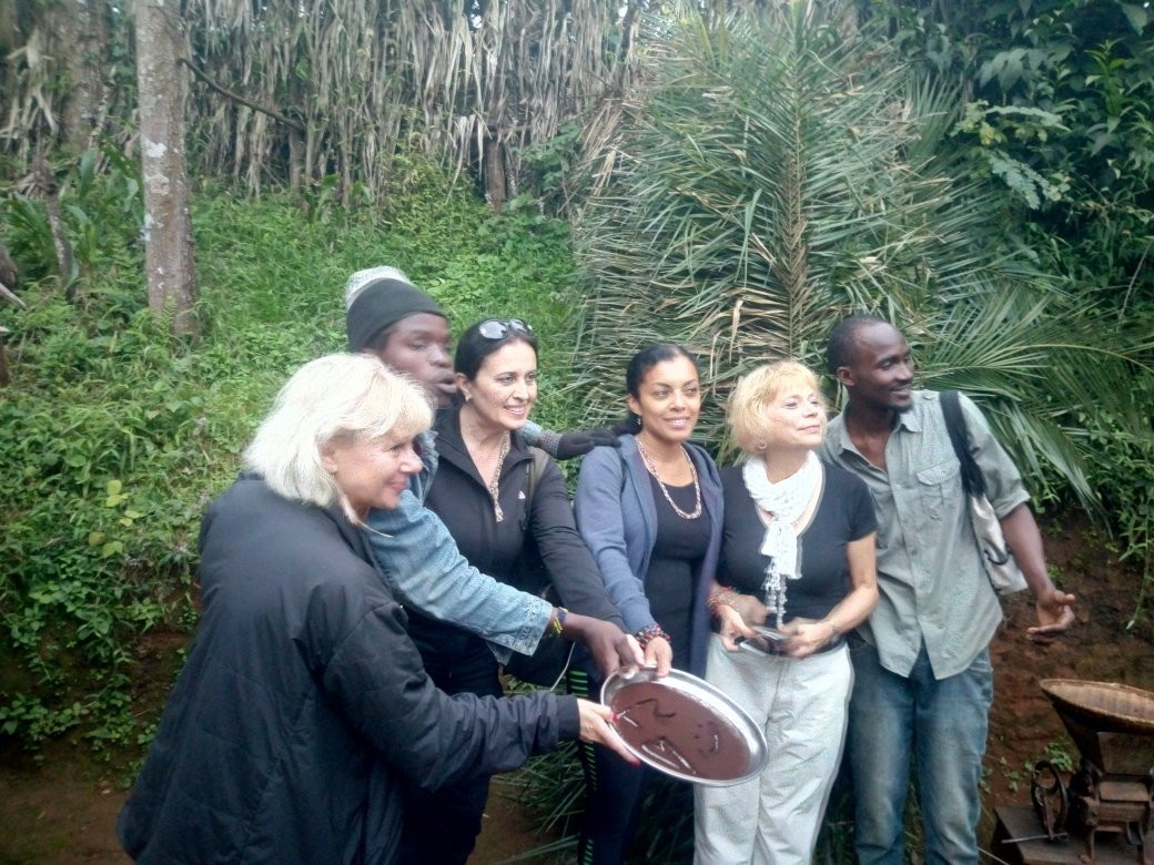 Coffee Tour - Day Tours-托伯莫里必去景点