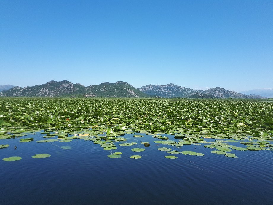 VIR TRAVEL-维尔巴札拉必去景点