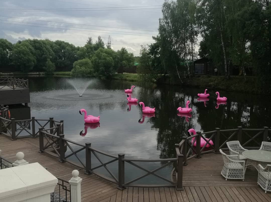 Teplitsa Park主图