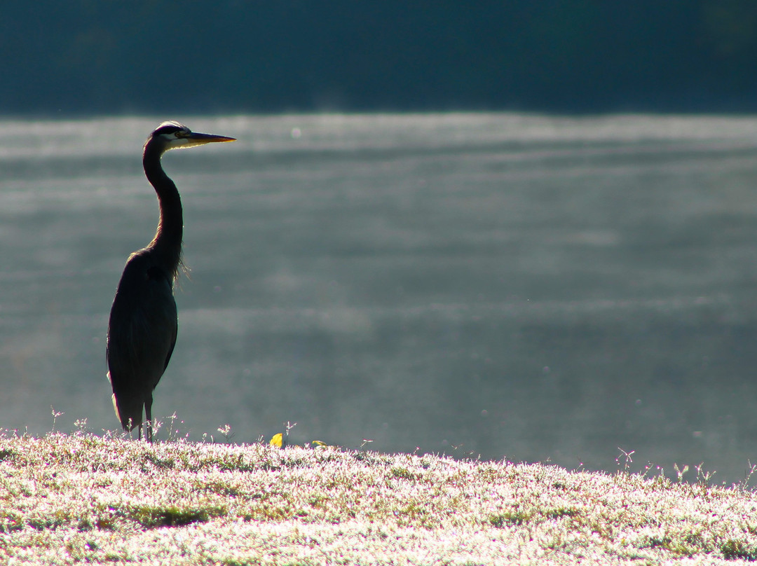 Wildwood Park for the Arts-小石城必去景点