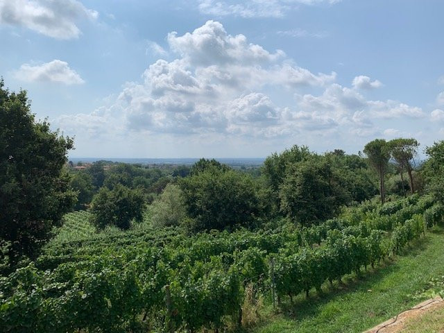 Buonamico Wine Resort主图