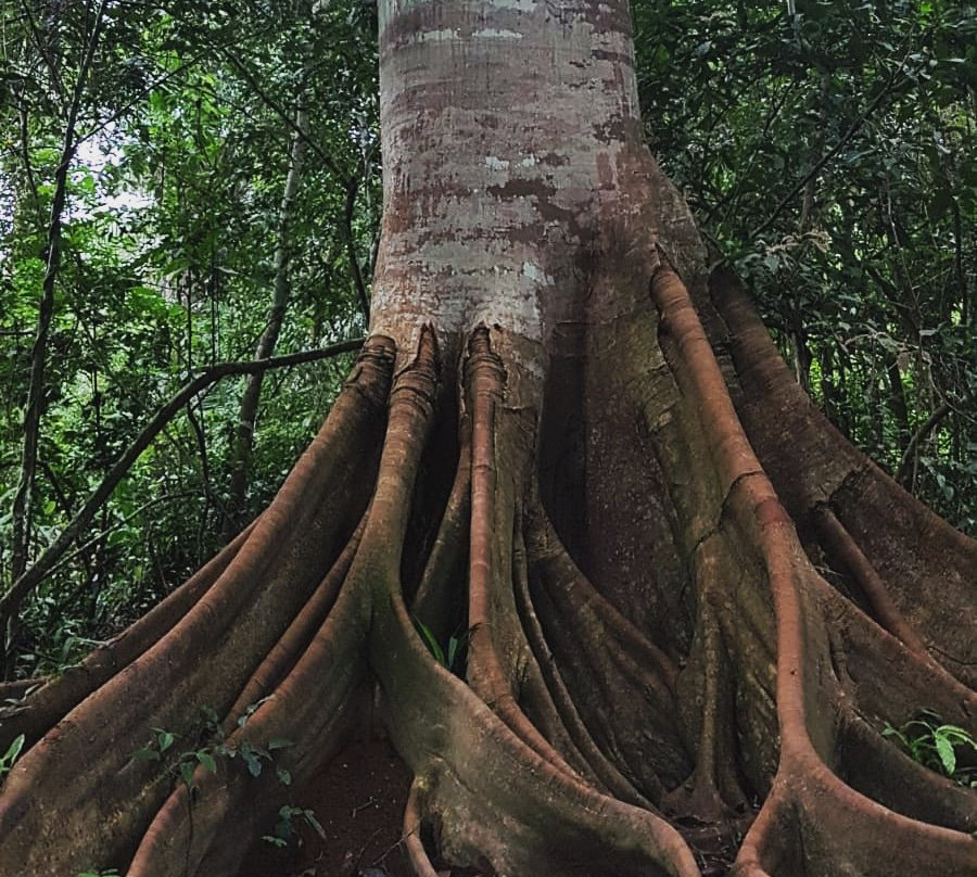 Aquicuana Reserve-Riberalta必去景点