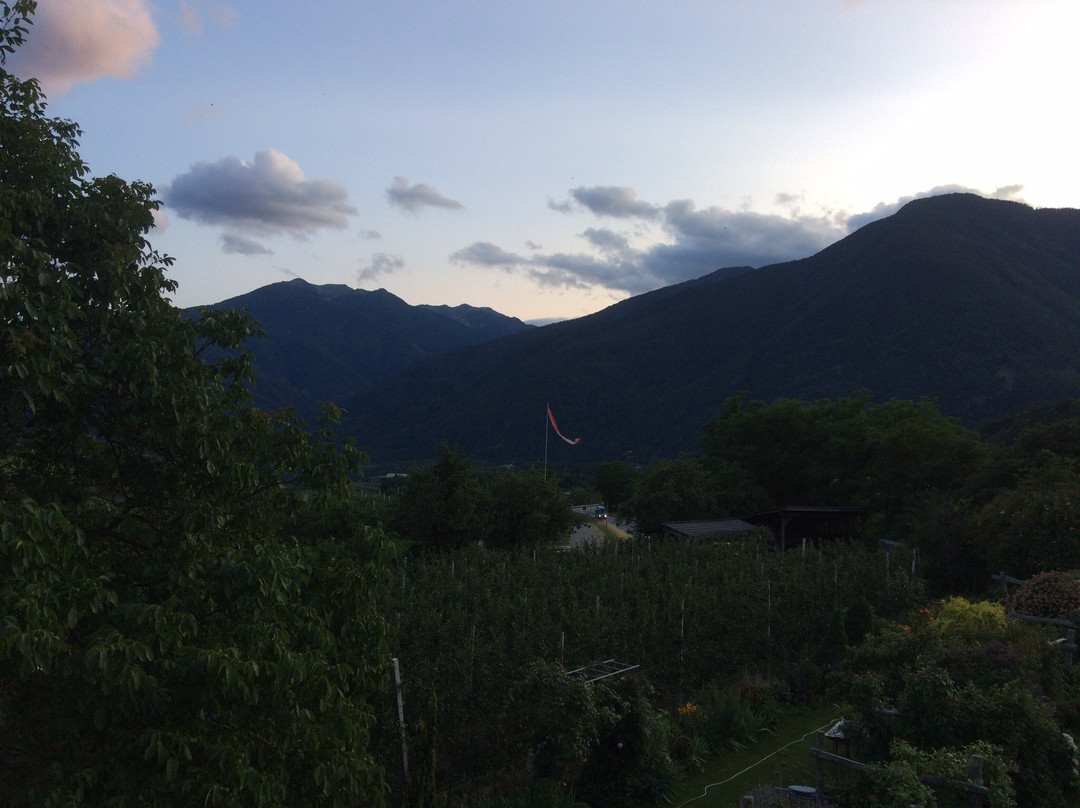 Peintnerhof Appartments & Zimmer主图