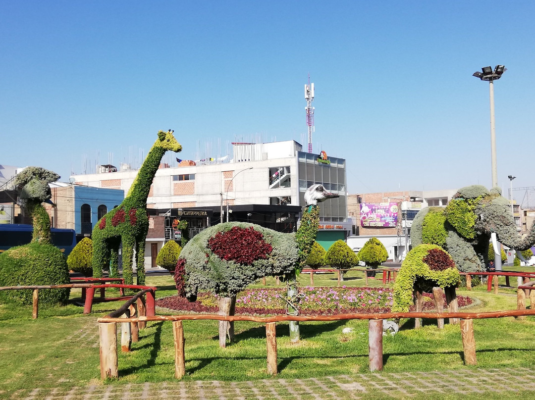 Bosque Municipal De Tacna-塔克纳必去景点