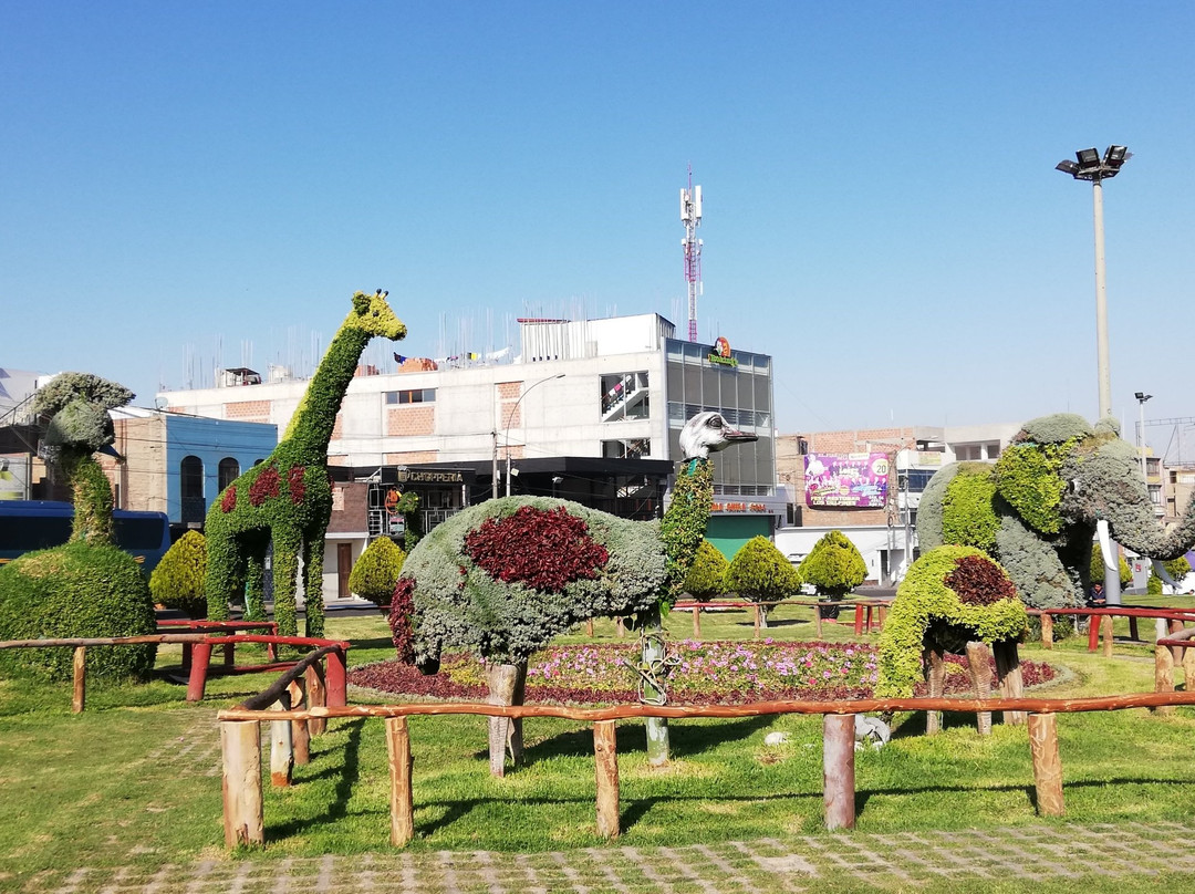 Bosque Municipal De Tacna景点图片
