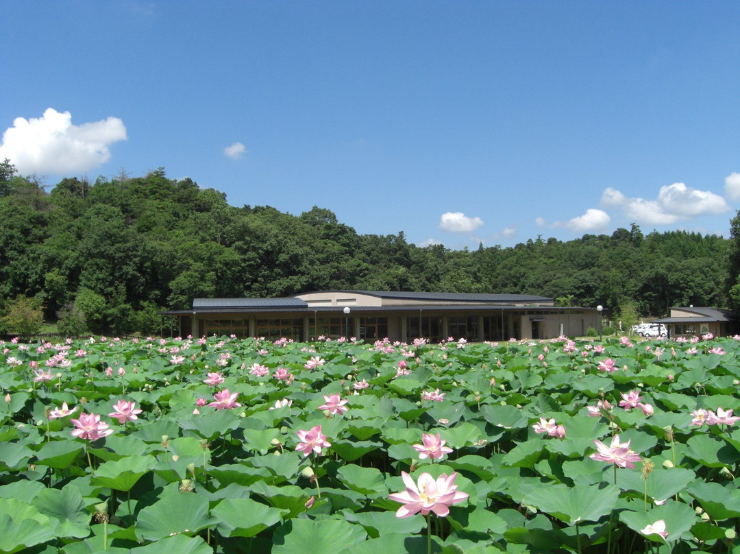 Archaeological Museum of Kojindani-出云市必去景点