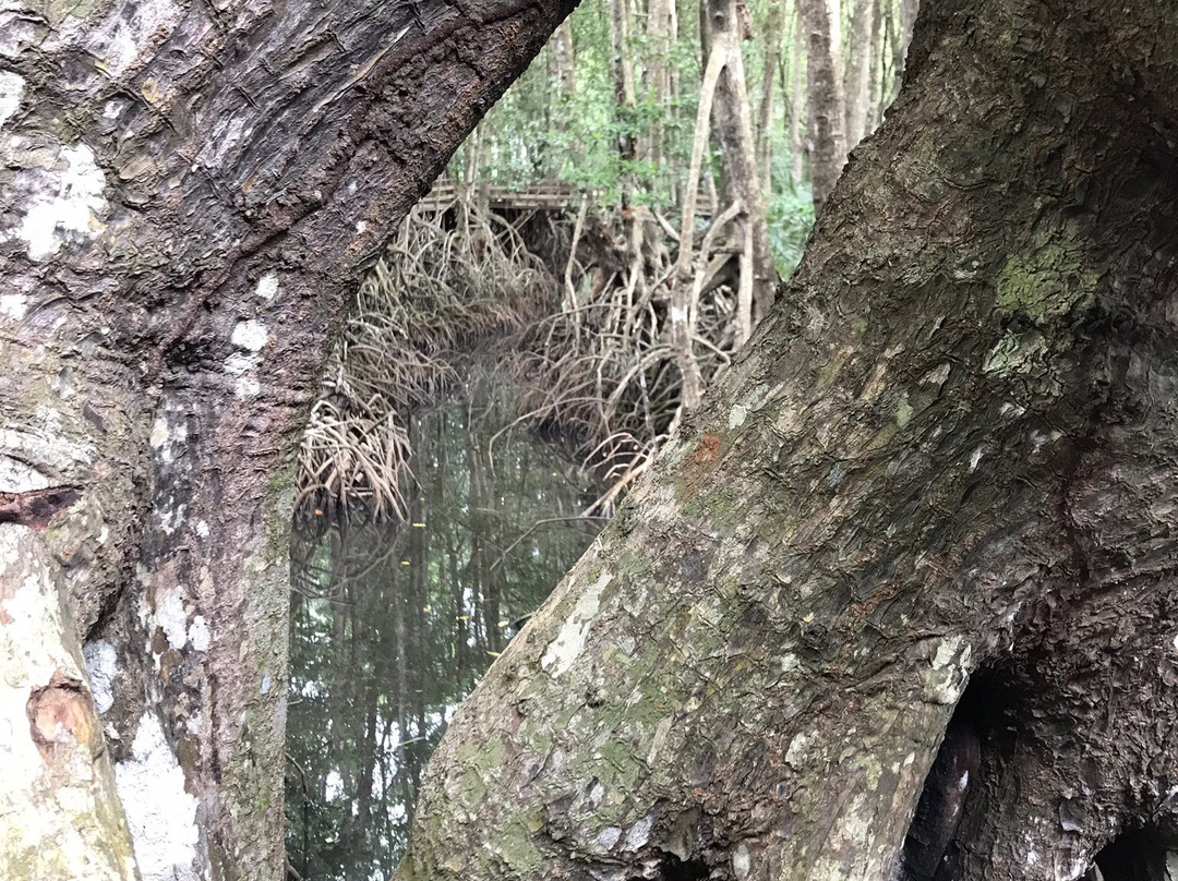 Sabandar Cowboy Town-斗亚兰必去景点