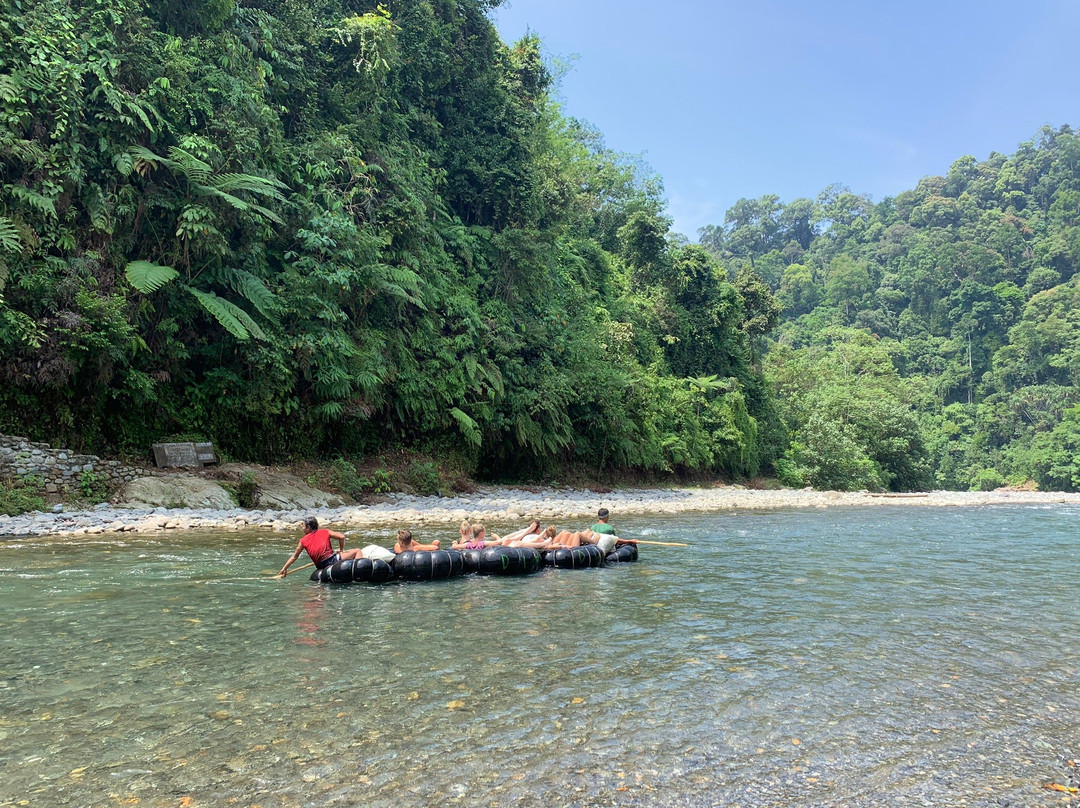 Bukit Lawang Trekking-武吉拉旺必去景点