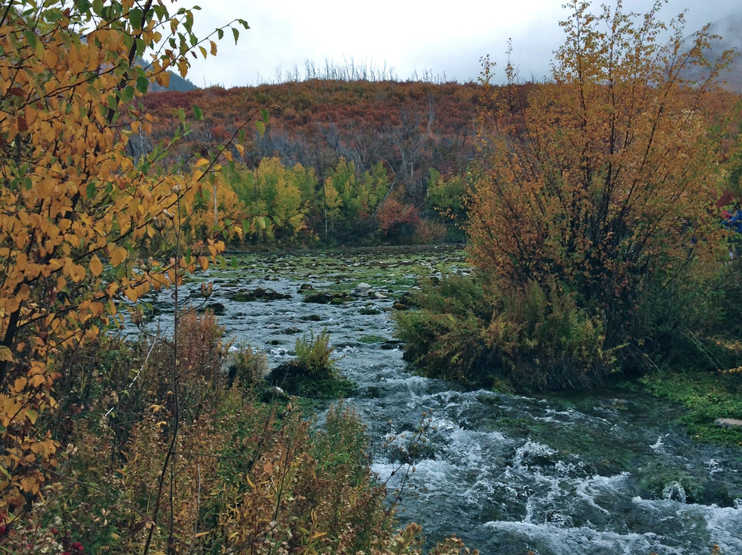 Cascade Springs-Charleston必去景点