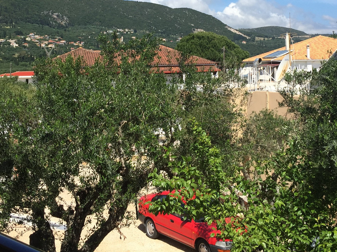 Potamitis Studios主图