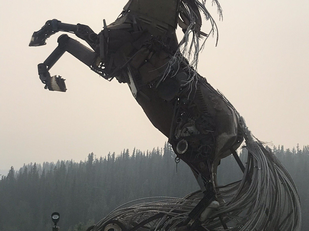 "The Whitehorse Horse"景点图片